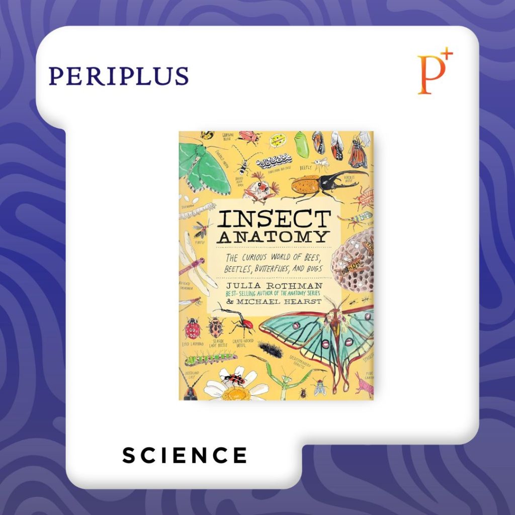 9781635868784 Insect Anatomy_ The Curious World of Bees, Beetles, Butterfly, and Bugs