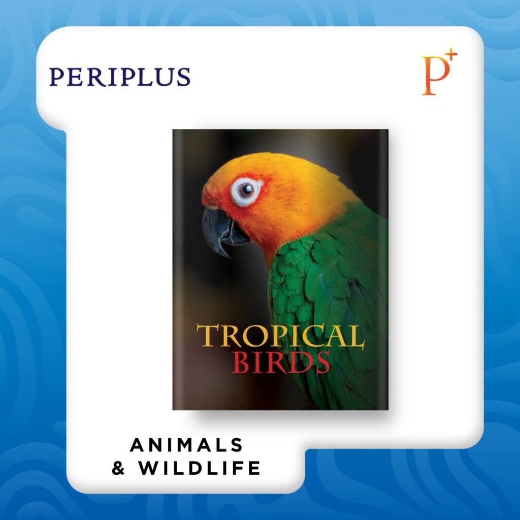 9781838861964 Tropical Birds