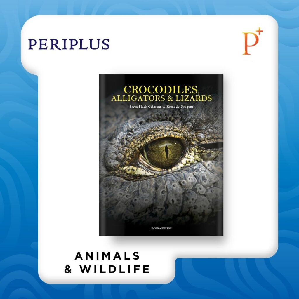 9781838864286 Crocodiles, Alligators & Lizards