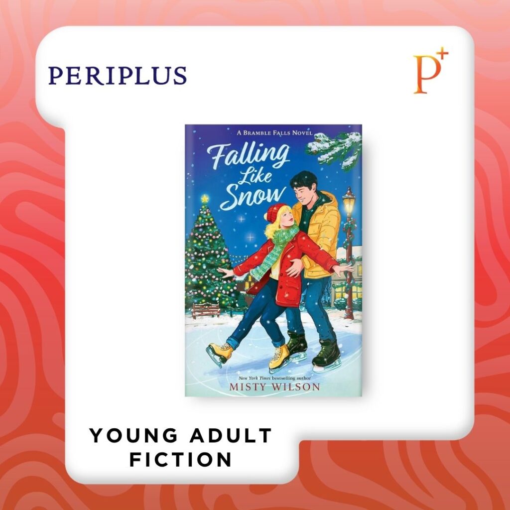 9781665989824 Falling Like Snow by Misty Wilson